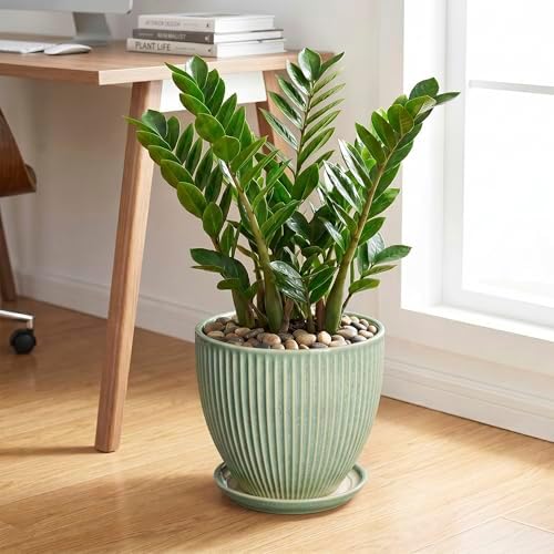 Ceramic Flower Pots, 10 Inch Plant Pot for Indoor Plants, Modern Round Planters with Drainage Hole and Saucer, Decorative Pots for Plants Indoor, Garden Home Decor, Plant Lover Gifts, Green - Image 3