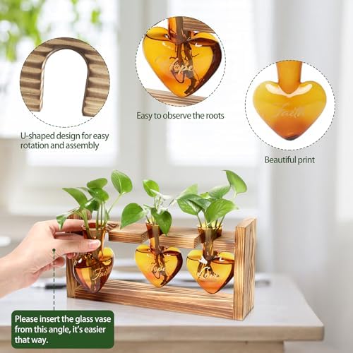 Plant Terrarium Propagation Stations Hydroponics - Image 2