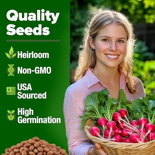 HOME GROWN Cherry Belle Radish Seeds, 800+ Seeds, Raphanus sativus - Image 2