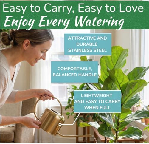 Stainless Steel Houseplant Watering Can, Brushed Silver, 1L Capacity - Image 3