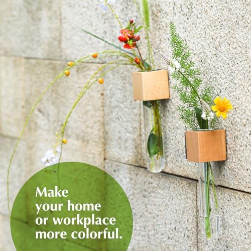 Wooden Wall Planter Glass Plant Propagation Stations Fridge Glass Tube Single Stem Bud Vase 2Pcs/Set Modern Decorative Cube Wood Window Flower Vase Refrigerator Magnetic Mini Glass Vase with Dropper - Image 6