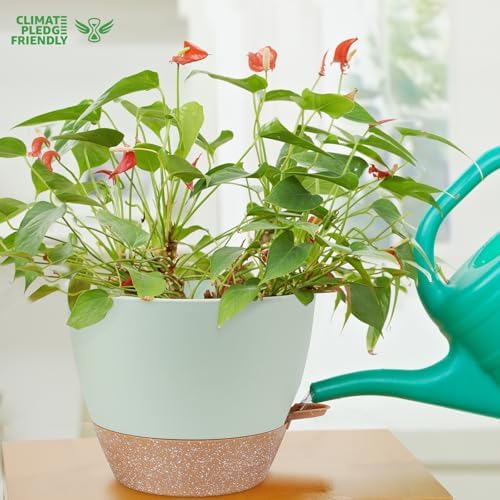 YNNICO 12 inch Large Self Watering Plant Pots for Indoor Outdoor Plants - Image 6