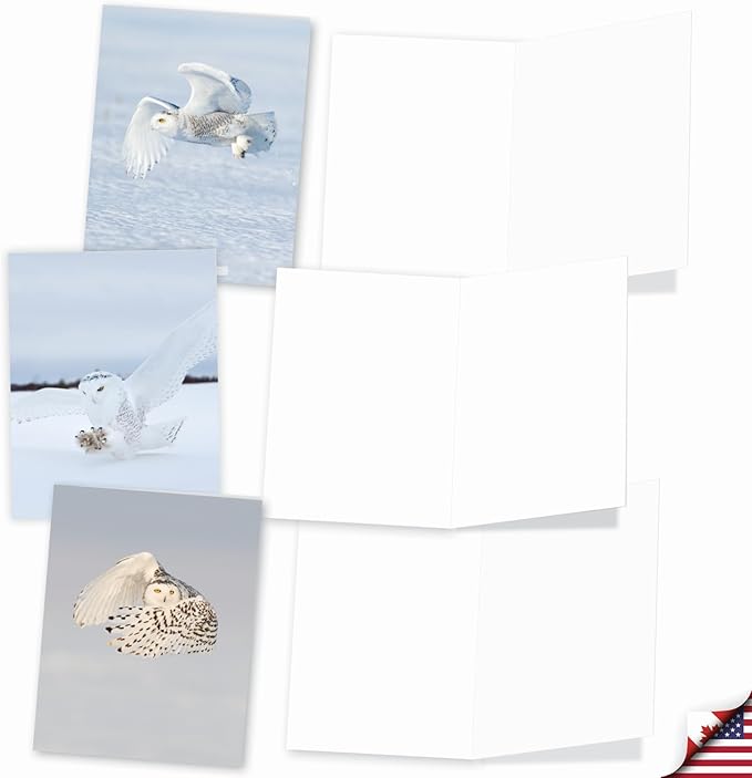 The Best Card Company - 20 Blank Note Cards with Envelopes (4 x 5.12 Inch) - All Occasion Animal Card Assortment (10 Designs, 2 Each) - Snowy Owls AM9518OCB-B2x10