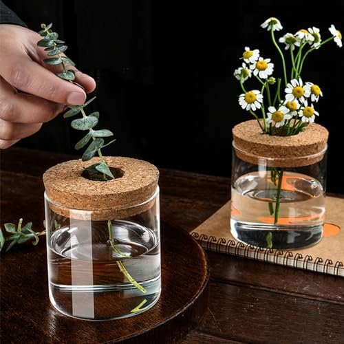 Clear Glass Planter Vase with Wooden Lid and Bamboo Stand for Hydroponic Plants, Succulents, Cut Flowers Gifts for Women Mom Plant Lovers (1, 2.55 * 3.93inch) - Image 5