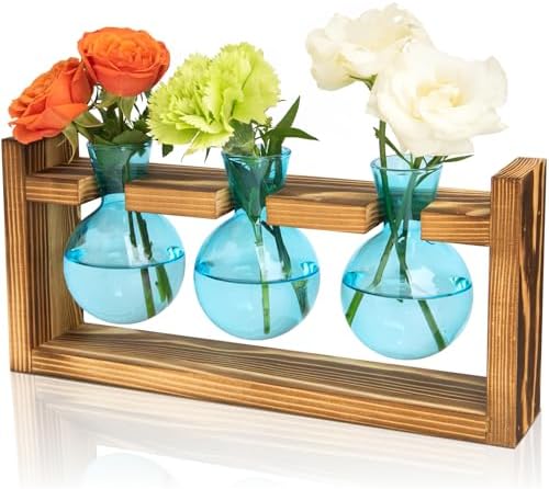 XXXFLOWER Plant Terrarium Jar Propagation Station Stand 3 Blue Bulb Vases by XXXFLOWER