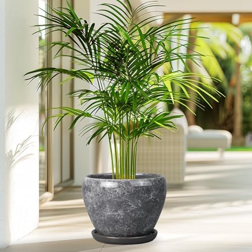 Ceramicfor 8 Inch Plant Pot - Ceramic Planter Pot with Drainage Hole and Saucer, Glaze Garden Pot Modern Flower Pot for Indoor Plants, Gray - Image 6