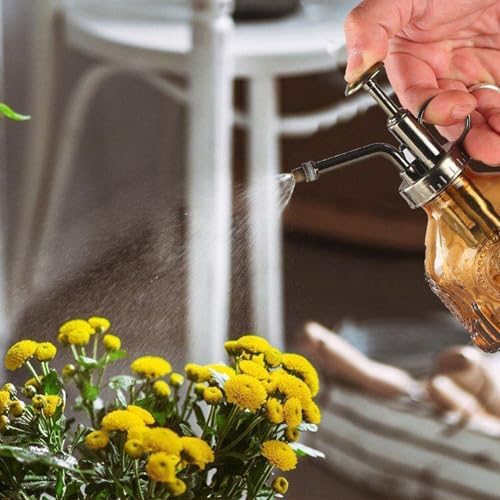 Spray Bottle for Plants, Plant Mister Spray Bottle, Glass Plant Mister Spray Bottle, Embossed Vintage Glass Watering Can, Succulent Watering Bottle with Top Pump for Outdoor (R) - Image 7