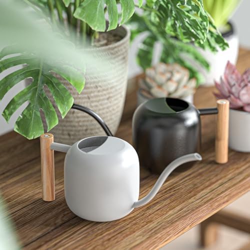 Green Moon 1.2L/41oz Metal Metal Watering Can with Long Spout, Black - Image 4
