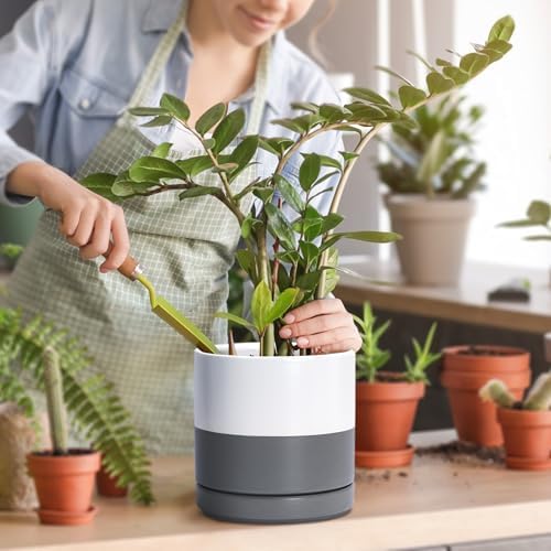D'vine Dev 6.5 Inch Ceramic Planter Pot, White/Grey, 94-O-C-6 - Image 5