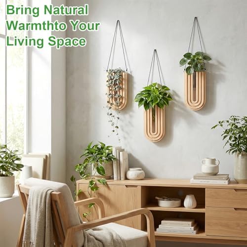 Set of 4 Wooden Wall Planter Vase Hanging Propagation Stations Glass Plant and Flower Vases Wall Plant Holder for Indoor Plants Art Boho Home Room Entryway Hallway Decoration - Image 5