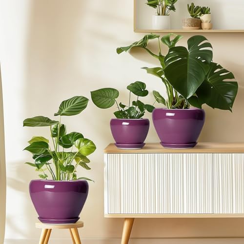 Ceramicfor Ceramic Pots for Plants 6 Inch - Ceramic Plant Pots with Drainage Hole and Saucer, Glaze Round Planter for Succulent Plants, Gifts for Plant Lovers, Garden Home Decor, Purple - Image 7