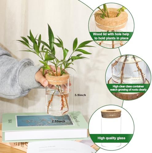 Separated Desktop Glass Flower Vases - Ideal Plants Propagation Stations for Living Room, Bedroom Decoration,Home Decor (2) - Image 2
