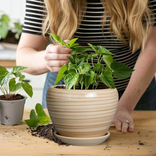 Ceramicfor 6 Inch Plant Pot Ceramic - Decorative Planter for Indoor Plants Succulent Pot with Drainage Hole and Saucer Round Planter Outdoor Flower Pot for House Patio Yellow - Image 4