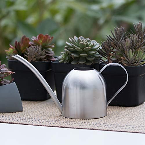 Watering Can for Indoor Plants, 30oz Long Spout Stainless Steel - Image 2