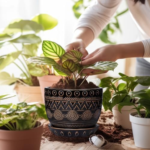 G EPGardening 5.5 Inch Ceramic Planter - Ceramic Plant Pot for Indoor Outdoor Plants, Boho Round Flower Pot with Drainage Hole and Saucer, Gifts for Plant Lovers, Office Garden Home Decor, Black - Image 4