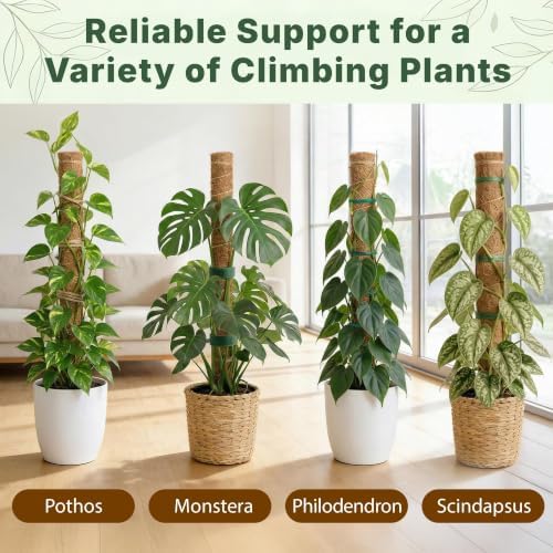 2 Pack 16" Moss Pole Monstera Plant Support - Stackable up to 26.5" - Image 7