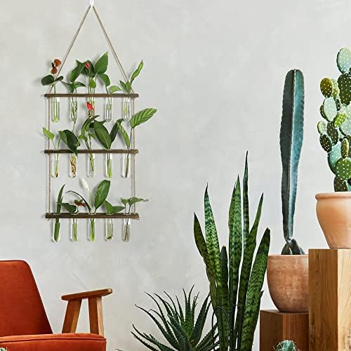 YIBOT Plant Propagation Stations with Wooden Stand 15 Glass Test Tubes Vase - Image 6