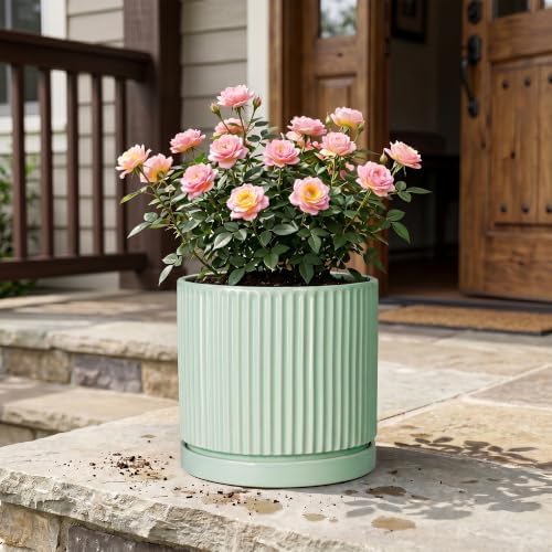 Ceramic Planter, 10 Inch Flower Pot with Saucer, Mint Green - Image 7