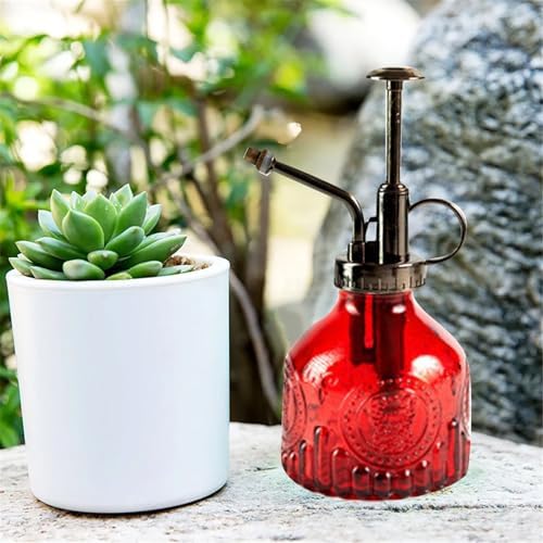 Spray Bottle for Plants, Plant Mister Spray Bottle, Glass Plant Mister Spray Bottle, Embossed Vintage Glass Watering Can, Succulent Watering Bottle with Top Pump for Outdoor (W) - Image 4