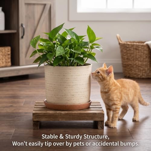 8 Inch Ceramic Plant Pot with Drainage Hole & Separate Saucer - Image 6