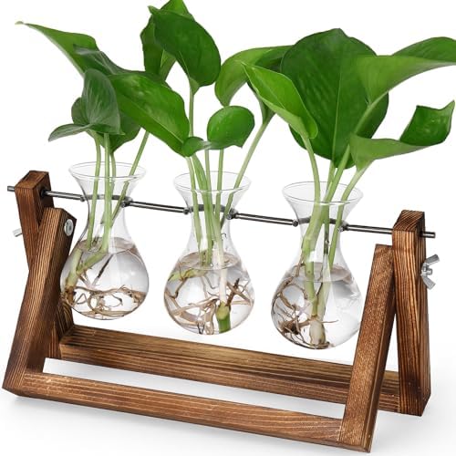 YIBOT Propagation Stations,Plant Terrarium with Wooden Stand-3 Glass Vases by YIBOT