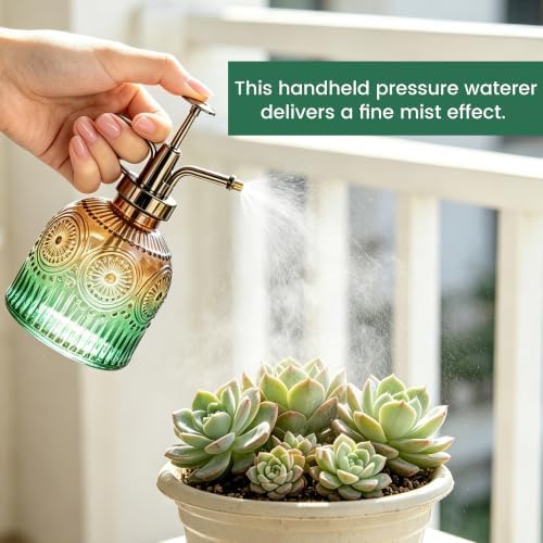Glass Plant Mister, Vintage Spray Bottle with Fine Mist Pump - Image 5
