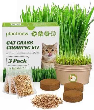 Cat Grass Kit for Indoor Cats, 3 Pack Fast Growing Cat Grass Kit with Eco-Friendly Biodegradable Pots, Soil & Wheatgrass Seeds, Grows in 3-7 Days with High Germination Rate by PLANTMEW