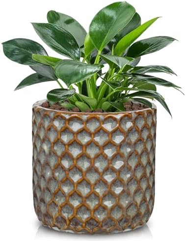 Oairse Small Ceramic Pots for Plants, 5.3 inch Brown Plant Pot Indoor with Drainage Ceramic Planters for Indoor Plants Succulent Planters Decorative Flower Pots for Cactus, Snake Plant, Herb by Oairse