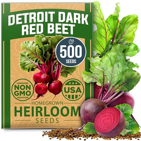 HOME GROWN Detroit Dark Red Beet Seeds, 500+ Seeds, Beta vulgaris by HOMEGROWN