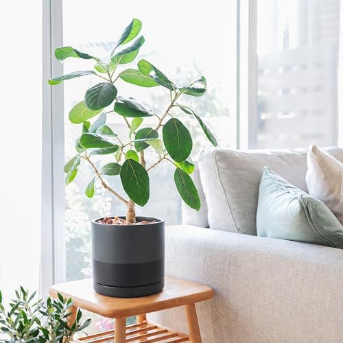 D'vine Dev 8 Inch Ceramic Planter Pot, Slate, 94-O-D-5 - Image 6