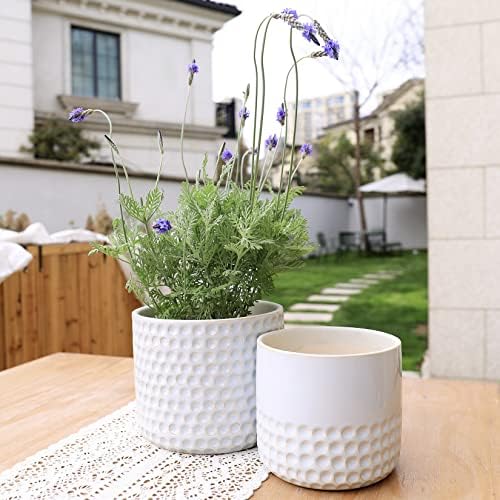 LA Jolie Muse Ceramic Plant Pots, Flower Pots for Indoor Plants, Set of 2 - Image 4