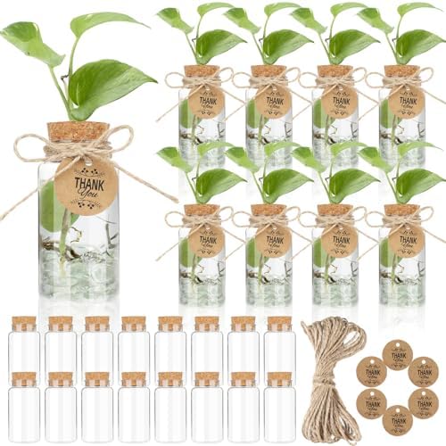 Ysglory 24 Pack 3.54'' Plant Propagation Stations 4oz Plastic Vases Jars by Ysglory