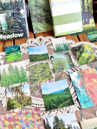 ATIRAMANIYA 346pcs Journal Supplies Kit Vintage Scrapbook Stickers Art Journaling Bullet Junk Journal Planners DIY Decoration Paper Stickers Craft Kits Notebook Collage Album (Meadow) - Image 3
