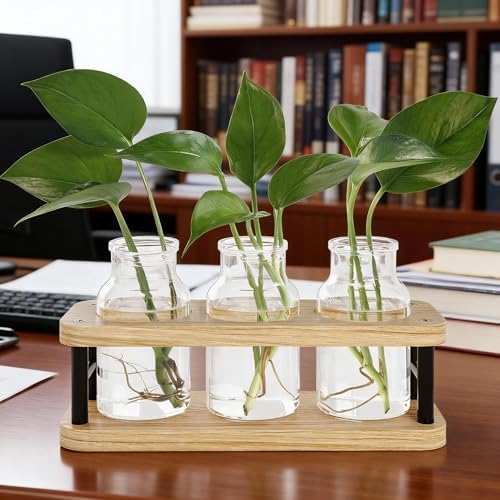 THYGIFTREE Plant Propagation Station with Wooden Stand, Propagation Vases Glass Planters for Indoor Plants Hydroponic Propagating Jars Home Office Decor, Plant Lover Gifts - Image 6
