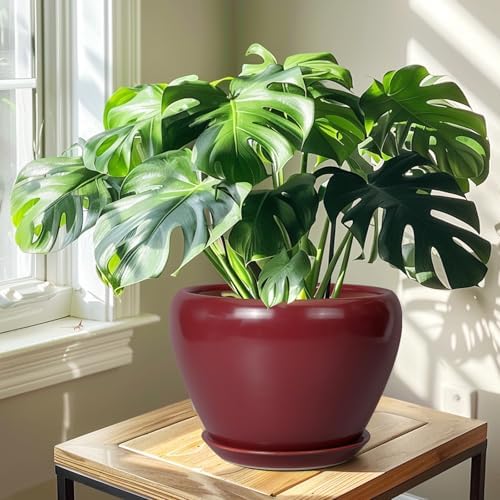 Ceramicfor 10 Inch Plant Pot, Ceramic Planter, Red - Image 5