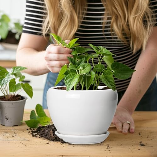 Ceramicfor Ceramic Pot for Plants - 6 Inch Plant Pot for Succulent Plants, Glaze Modern Round Planter with Drainage Hole and Saucer, Gifts for Plant Lovers, Home Office Patio Room Decor, White - Image 6