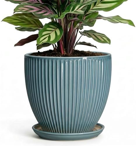 6 Inch Plant Pot Indoor, Ceramic Pots for Snake Succulent Plants, Decorative Round Flower Pots with Drainage Hole and Saucer, Modern Planter, Bookshelf Decor, Gifts for Men Women, Glaze Blue by Unknown