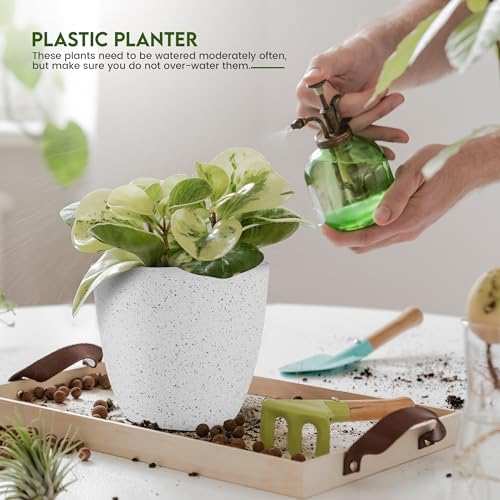 Plant Pots Indoor with Drainage 5 Pack Multi-Size Planters Set Spotty Grey - Image 3