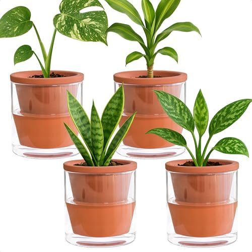D'vine Dev Self Watering Terracotta Planter Pot, 4 in, 4-Pack, 37-Z-A-1-F by DvineDevPlanterPotsandStand