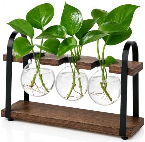 THYGIFTREE 3-Bulb Plant Propagation Station, Glass Vase Terrarium, Brown by THYGIFTREE