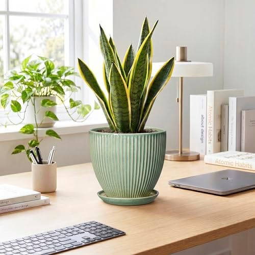 8 Inch Planter, Ceramic Plant Pots with Drainage Hole and Saucer, Decorative Pots for Plants Indoor, Ceramic Flower Pots, Round Modern Planter, Living Room Decor, House Warming Gifts, Green - Image 3