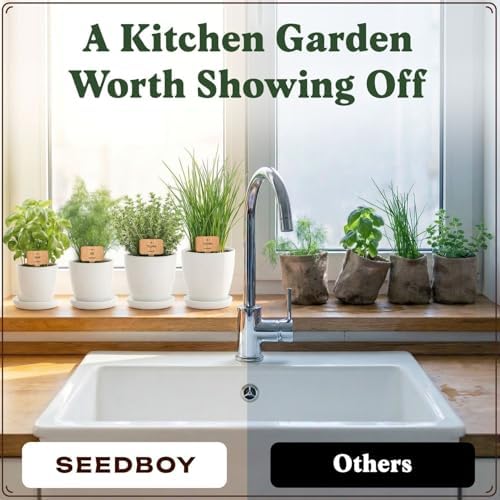Seedboy Organic Non-GMO Herb Seeds for Planting (Herb Garden Starter Kit) - Image 6