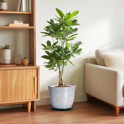 Ceramic Planter - 10 Inch Plant Pot for Indoor Outdoor, Round Planter with Drainage Hole and Plant Tray, Large Decorative Planters, Modern Flower Pot, Home Room Decor, Gardening Gift, Green - Image 4