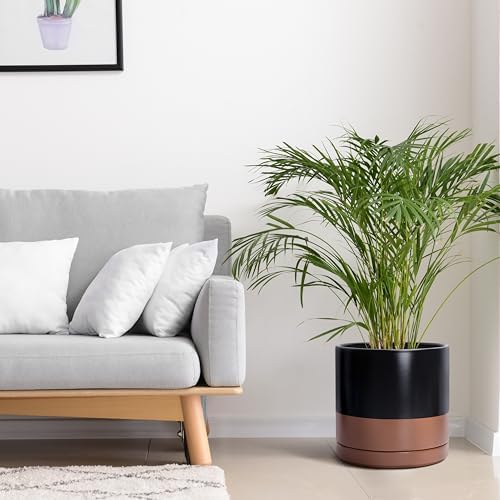 D'vine Dev 12 Inch Ceramic Planter Pot, Black/Tan, 94-O-F-7 - Image 3