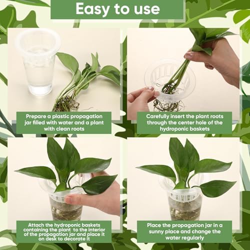 Baderke 35 Pcs Plastic Plant Propagation Vase for Indoor Decor - Image 4