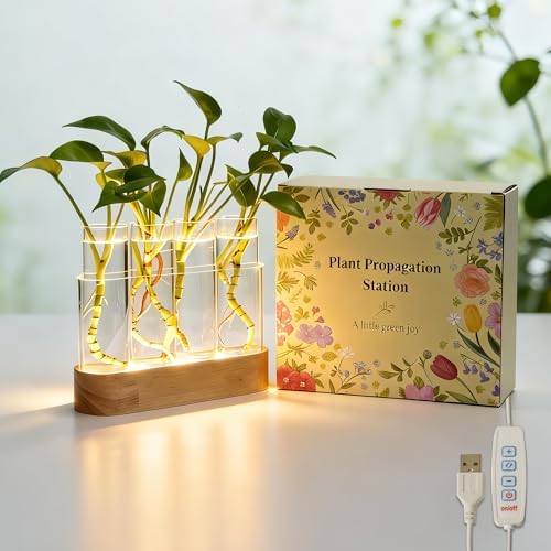 Plant Propagation Station with LED Grow Light, Wooden Stand & 4 Glass Tubes by JYCT