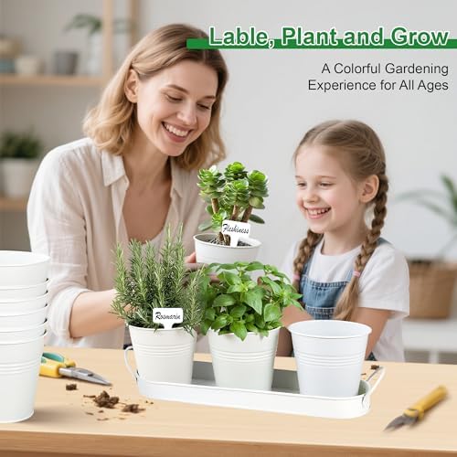 Herb Garden Planter Indoor Kit – 6 Metal Pots with 2 Trays for Windowsill & Kitchen Counter – Modern Decorative Indoor Planters for Herbs, Succulents & Small Plants, White - Image 5