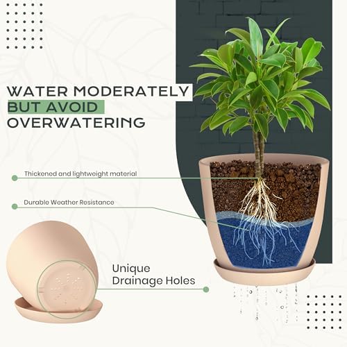 Plant Pots Indoor with Drainage, 10 Pack Multi-Size Planters Set, Pink - Image 3