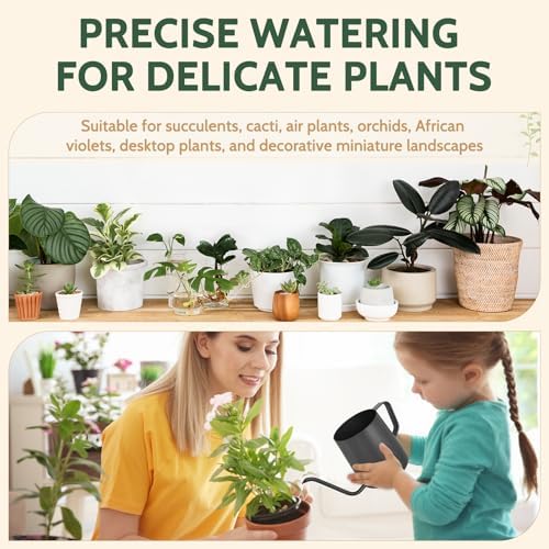 Small Watering Can Indoor Plants 12 OZ Mini Watering Can Stainless Steel - Image 5