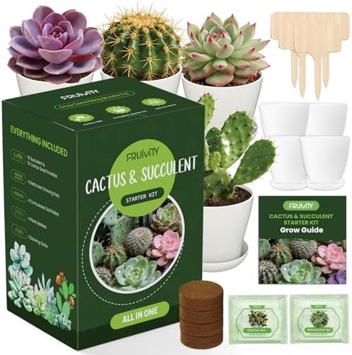 Succulent & Cactus Seed Kit for Planting, Premium Cactus & Succulent Starter Kit: 4 Growing Pot, Markers, Seeds Mix, Soil - Beginner Indoor Cacti Kit – House Plant - Men Women DIY Gift Kits by Fruivity